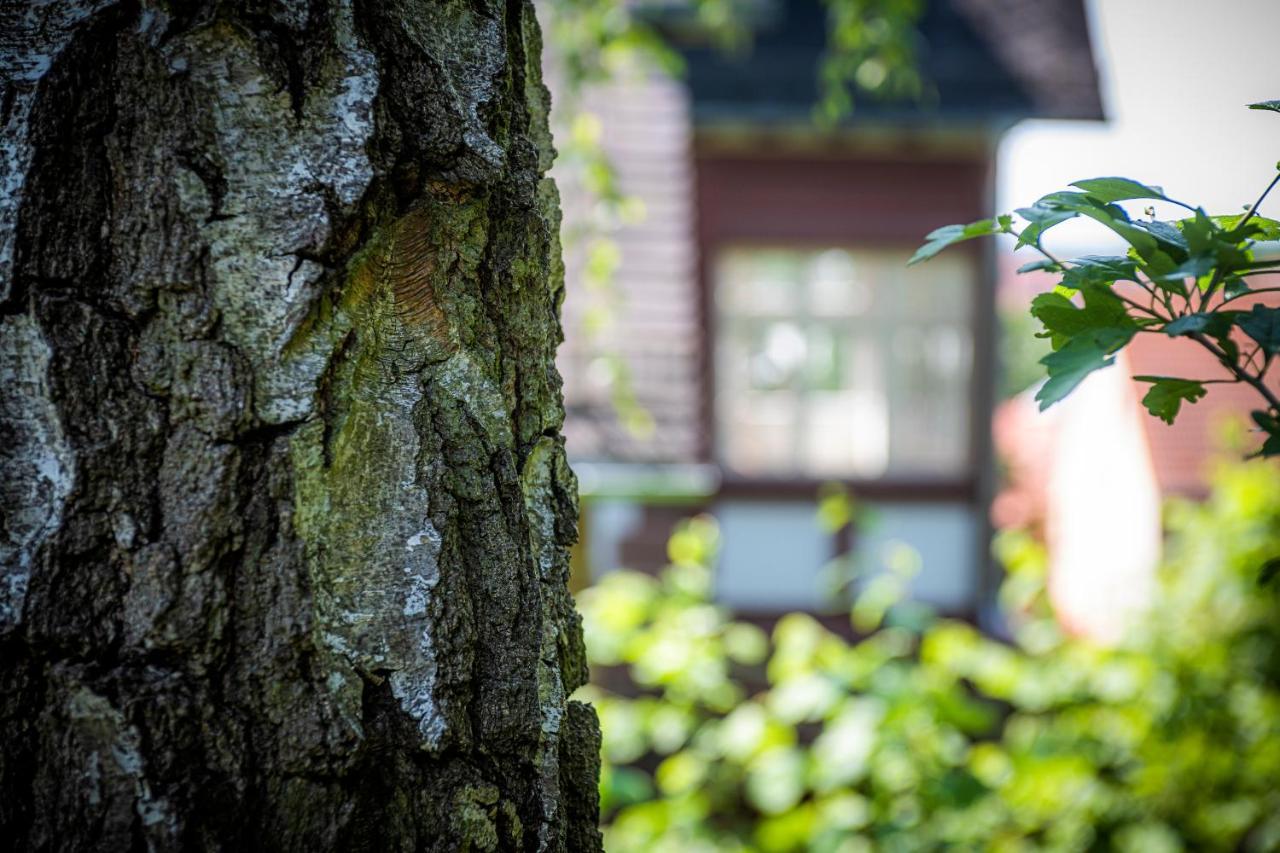 BLUMEINS - Das Refugium Groß-Umstadt Exterior foto